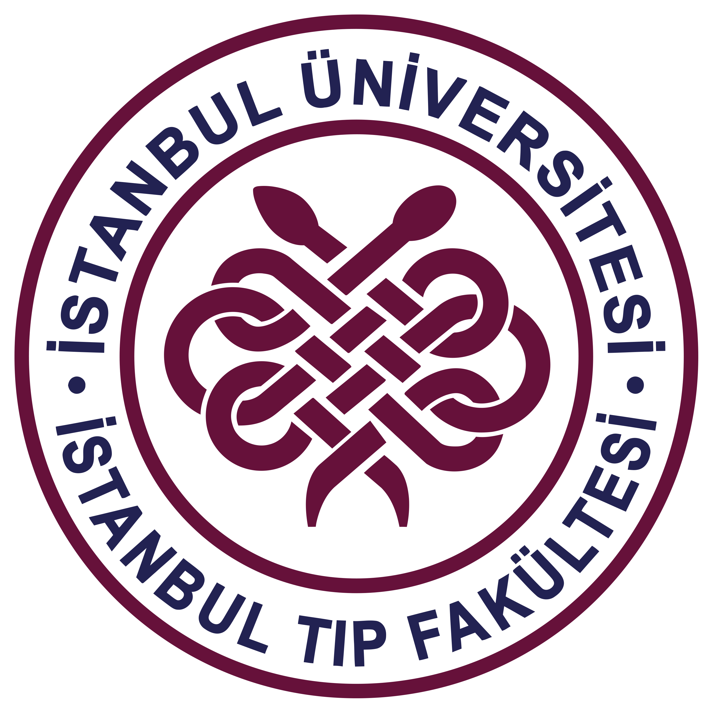 İstanbul Üniversitesi İstanbul Tıp Fakültesi